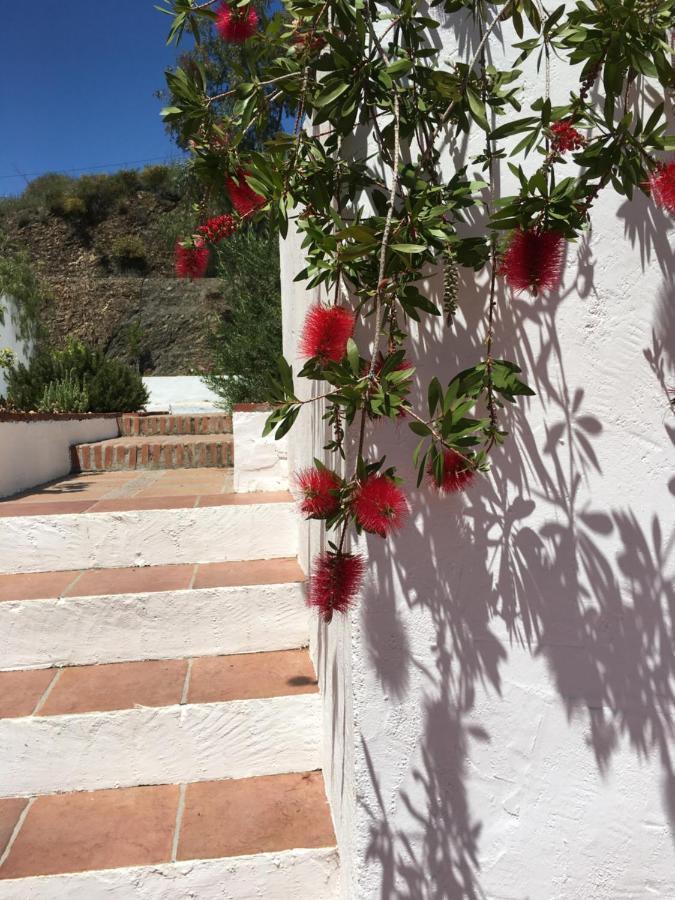 Apartments Cortijo La Zapatera Canillas de Aceituno Buitenkant foto