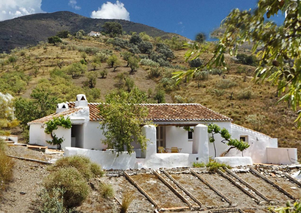 Apartments Cortijo La Zapatera Canillas de Aceituno Buitenkant foto